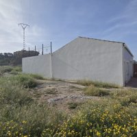 Property Detail