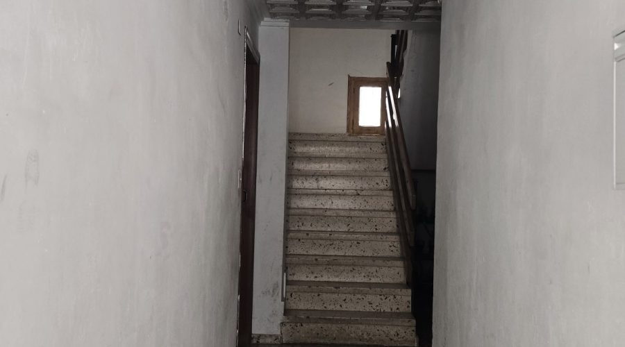 Property Detail