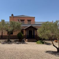 Property Detail