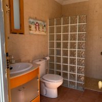 Property Detail