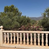 Property Detail