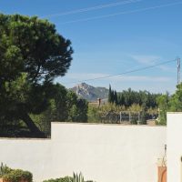 Property Detail