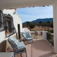 Property Detail