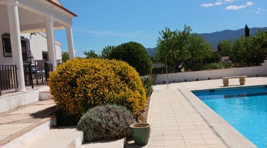 Property Detail
